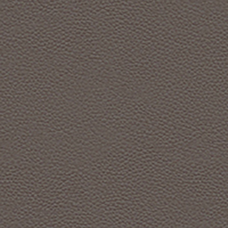 LONGLIFE SOFT TAUPE - LEATHER 33