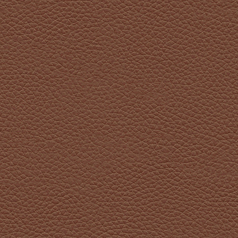 CAMBRIDGE CONKER - LEATHER L848