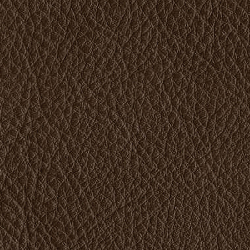 CAPRI CHOCOLATE - LEATHER P200